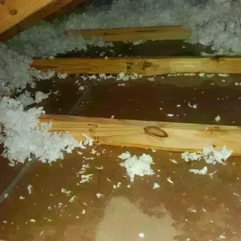 Attic Water Damage in Navarre, OH